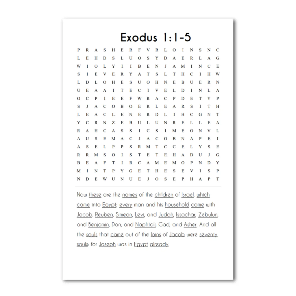 ST Exodus 1 puzzle.webp