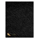 Back Cover - ALL books SQUARE.webp