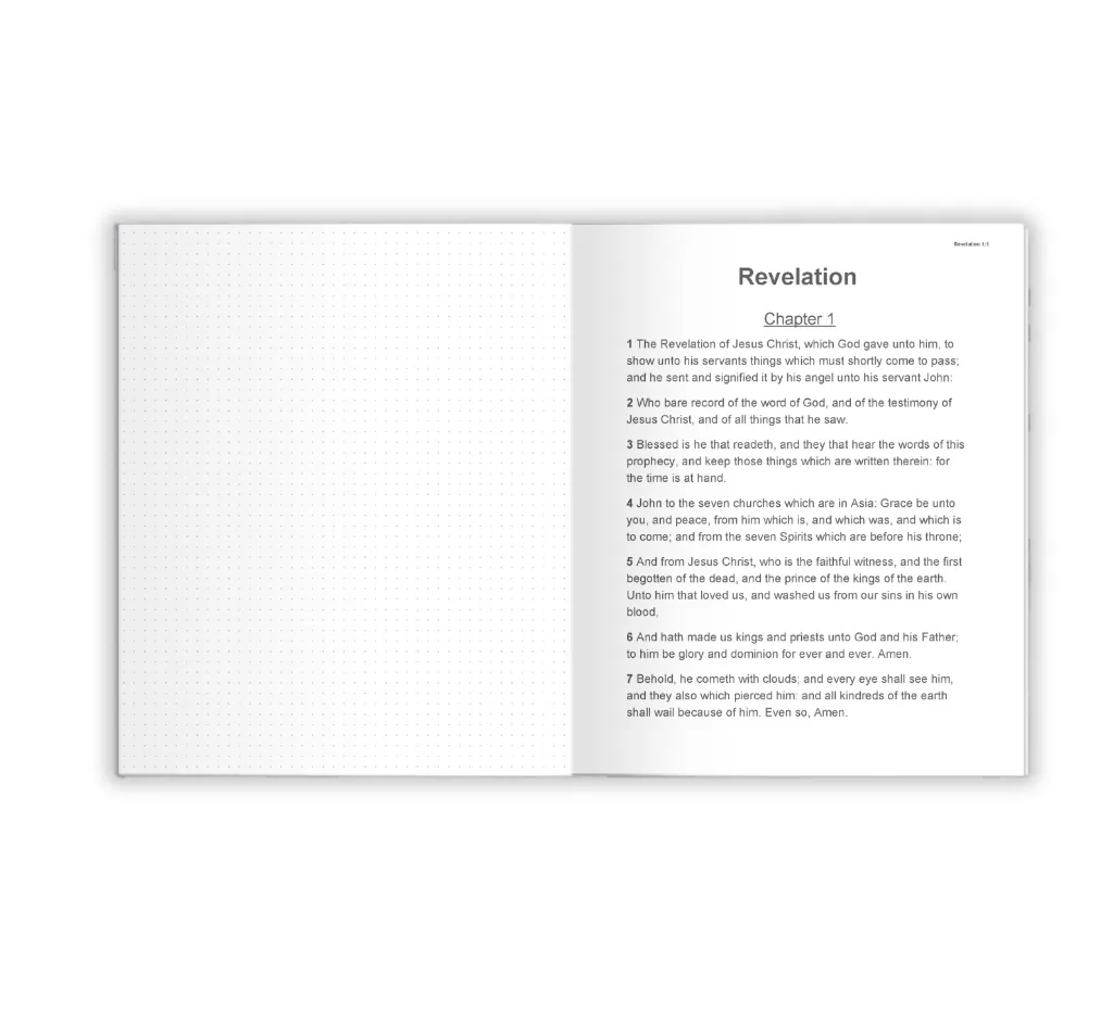 Revelation Left.webp