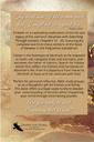 Searching through Genesis: Chapters 12-25