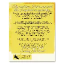 1590 Eccl, Solomon, Laments.webp