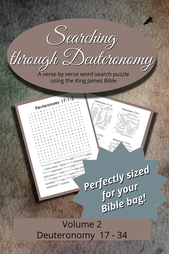 Searching Through Deuteronomy: Chapters 17-34