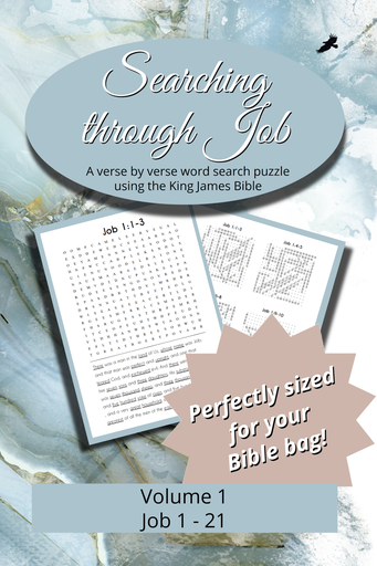 Searching Through Job: Chapters 1-21
