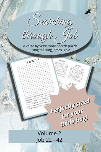 Searching Through Job: Chapters 22-42