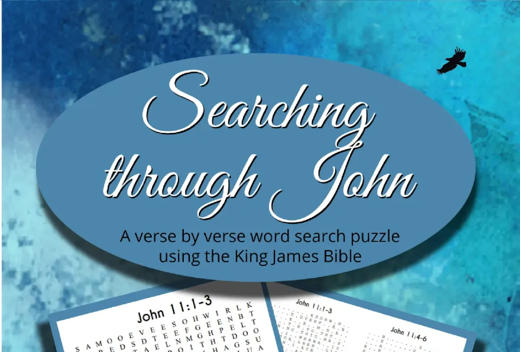 Searching Through John Word Search Pack, Vol. 2